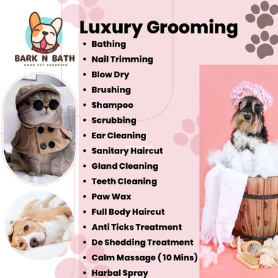 Bark and bath dog fashion grooming